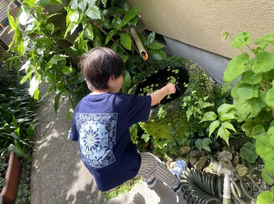 メダカさん見つけた!